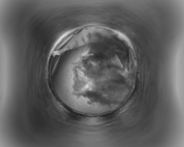 X0000086771279200704271743
