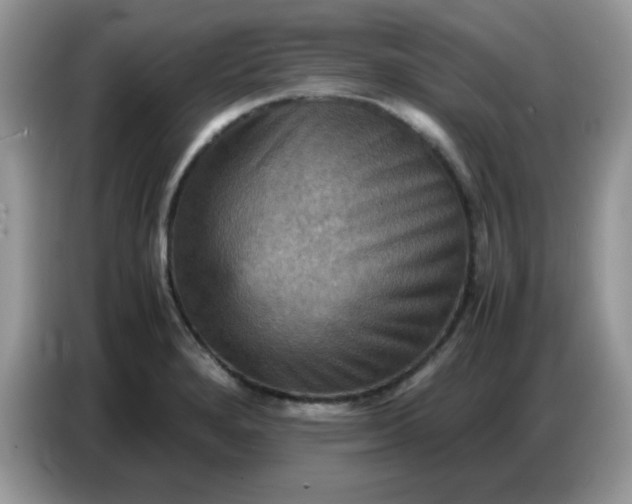 X0000086771280200704271743