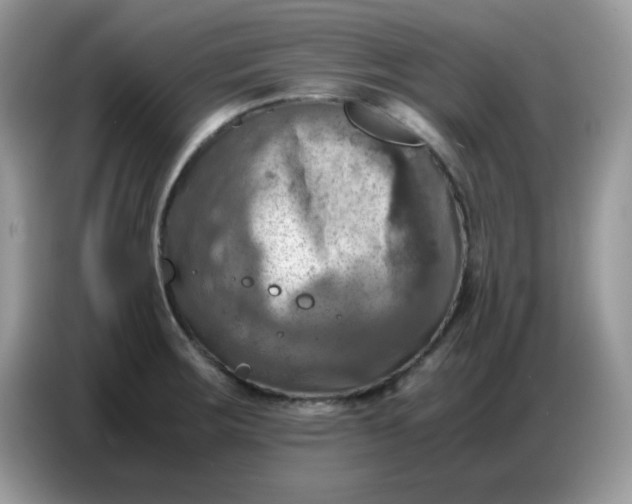 X0000086771283200704271743