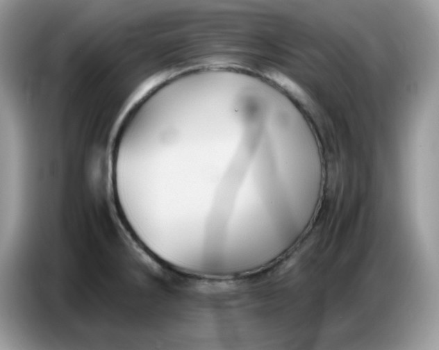 X0000086771286200704271743