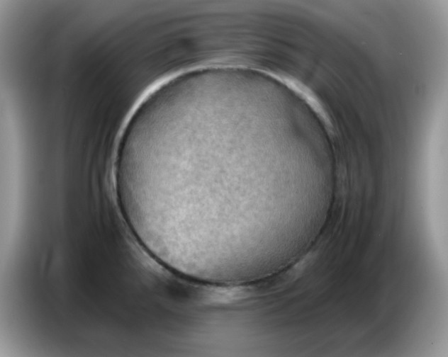 X0000086771288200704271743