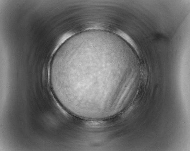 X0000086771290200704271743