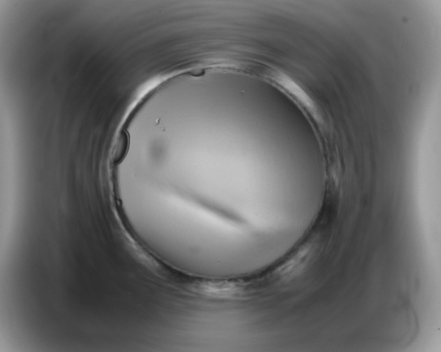 X0000086771291200704271743