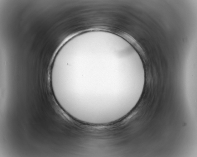 X0000086771292200704271743