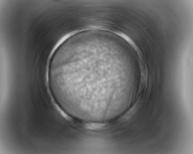X0000086771294200704271742