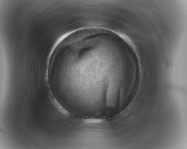 X0000086771296200704271742