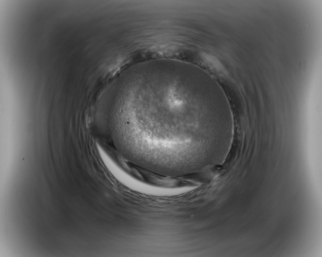 X0000086771298200704271742