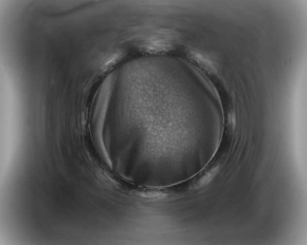 X0000086771300200704271742