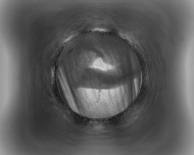 X0000086771301200704271742