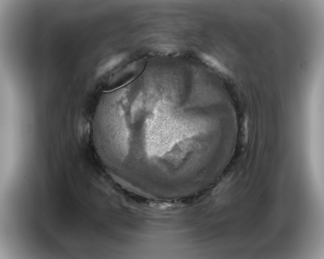 X0000086771302200704271742