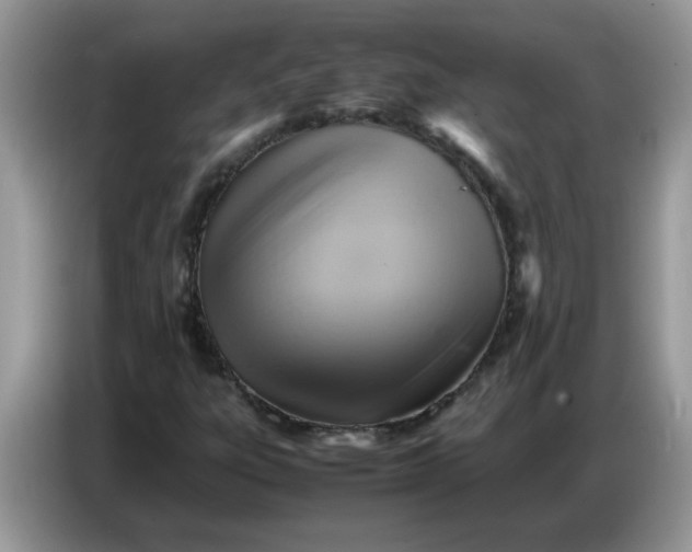 X0000086771303200704271742