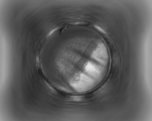 X0000086771305200704271742