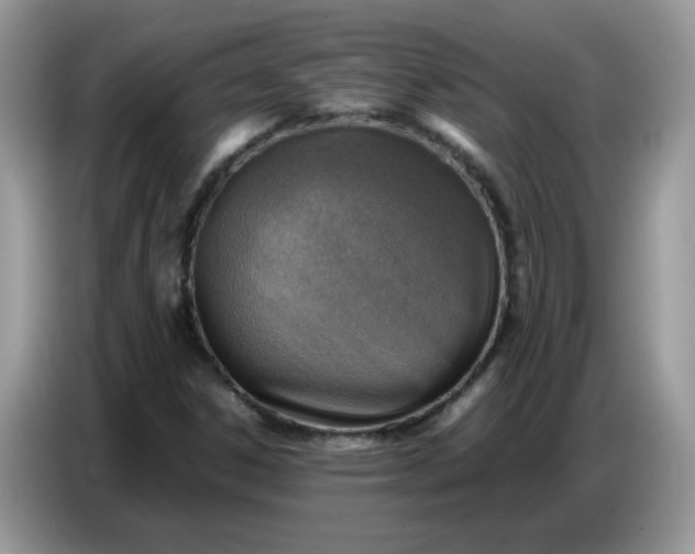 X0000086771306200704271742