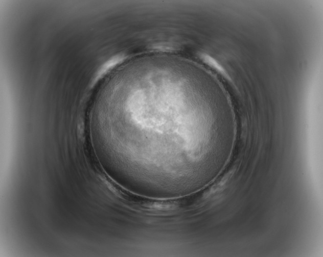 X0000086771307200704271742