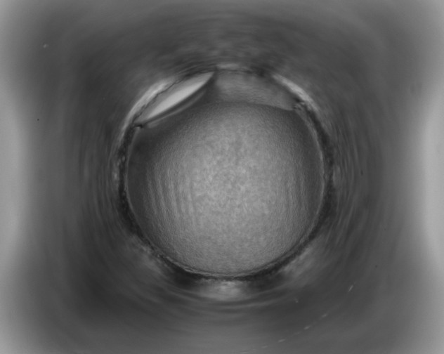 X0000086771309200704271742