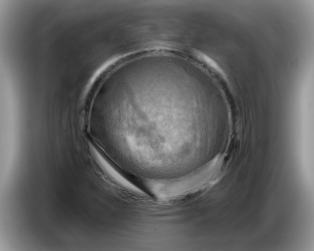 X0000086771310200704271742
