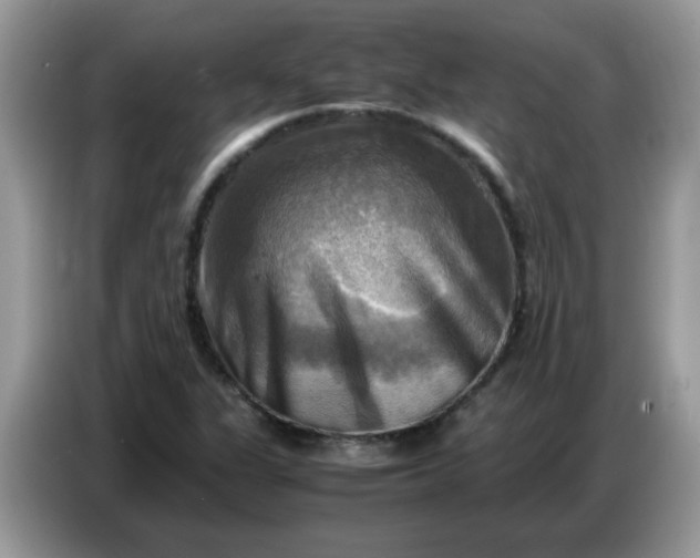 X0000086771311200704271742