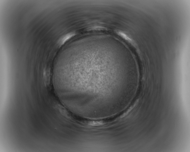 X0000086771313200704271742