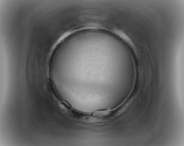 X0000086771318200704271742