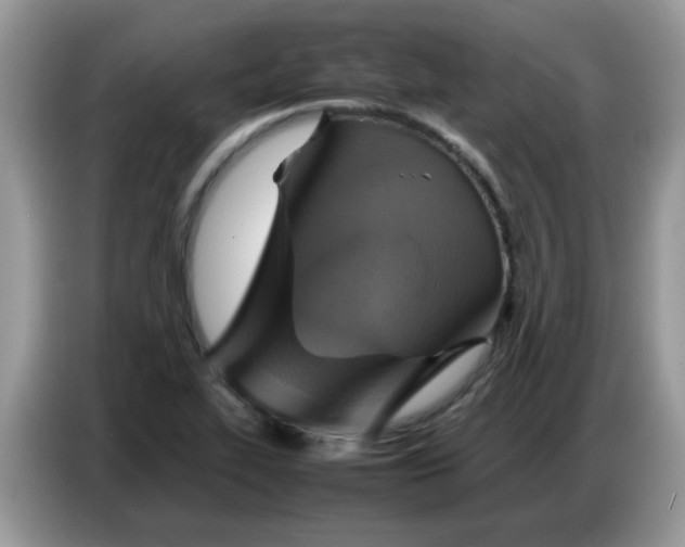 X0000086771319200704271742