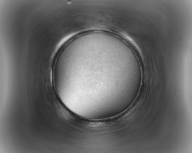X0000086771320200704271742