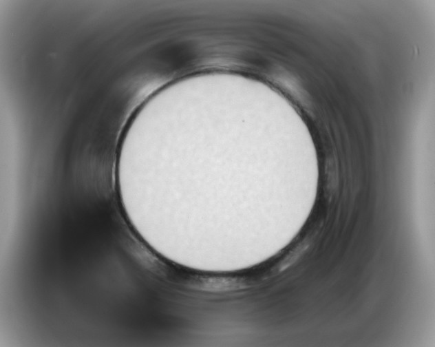 X0000086771322200704271742