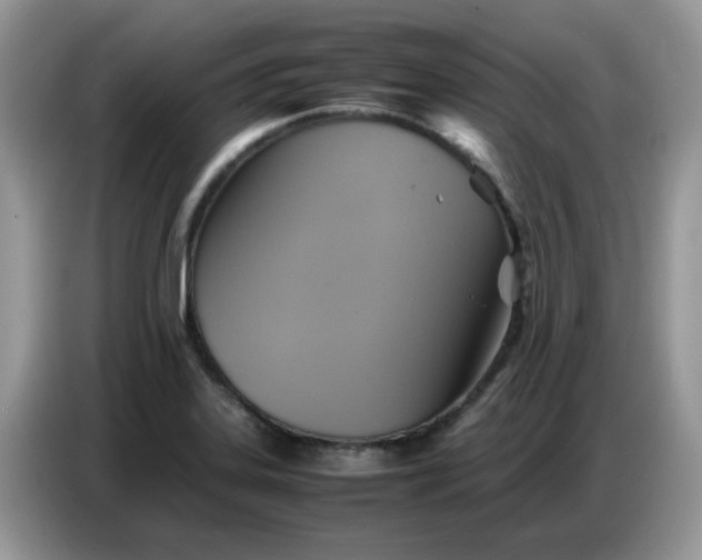 X0000086771323200704271742