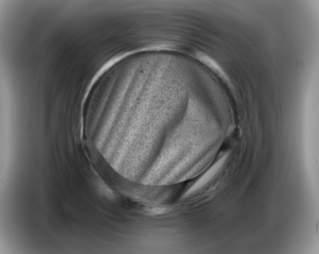 X0000086771324200704271742