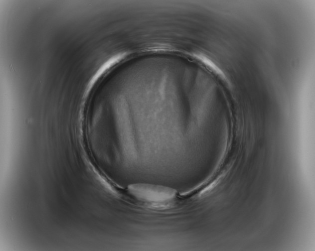 X0000086771325200704271742