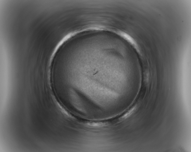 X0000086771326200704271742