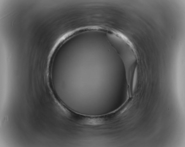 X0000086771327200704271742