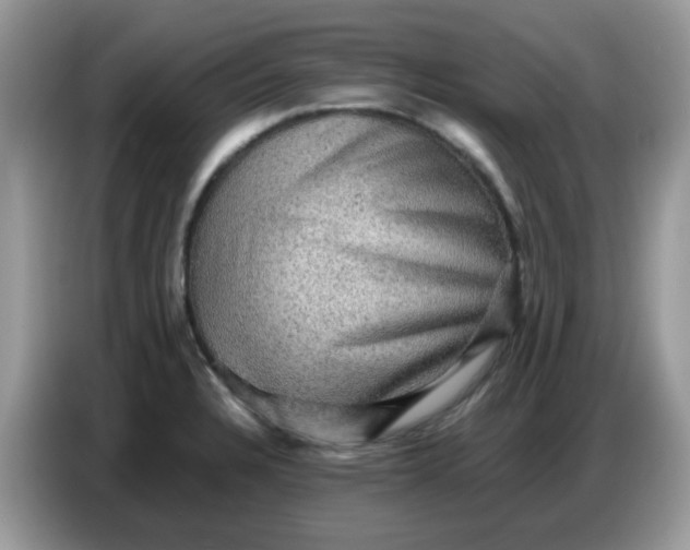 X0000086771328200704271742