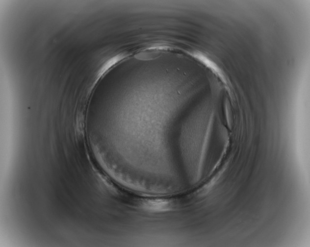 X0000086771329200704271742