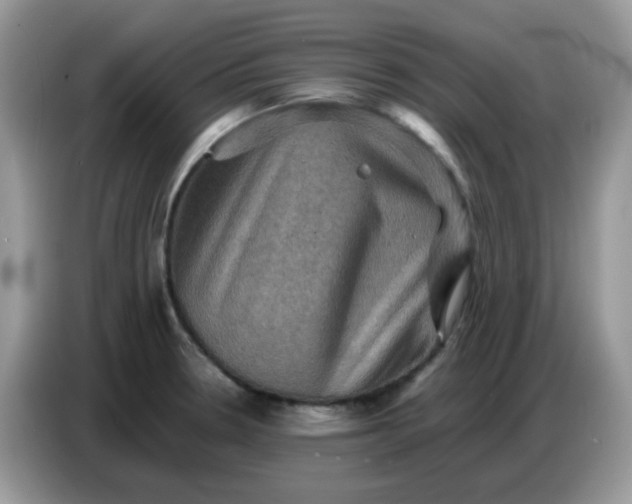 X0000086771330200704271742