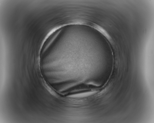 X0000086771332200704271742
