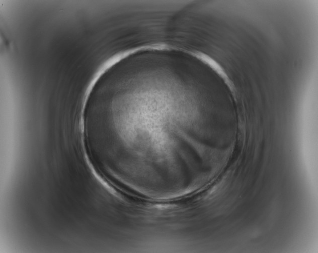 X0000086771335200704271742