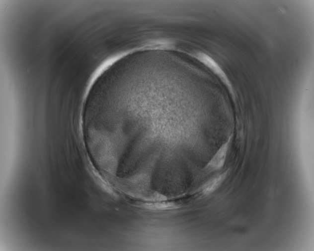 X0000086771336200704271742