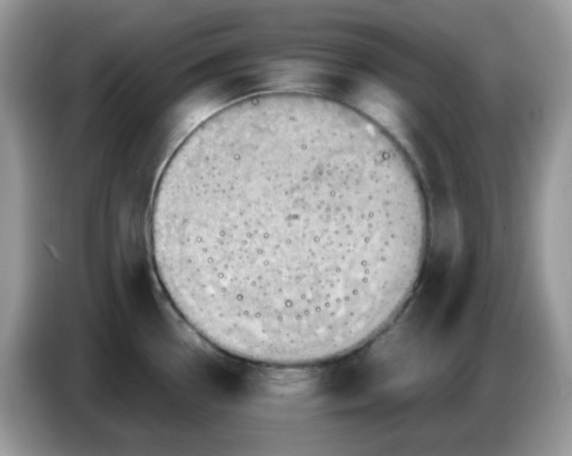 X0000086771338200704271742
