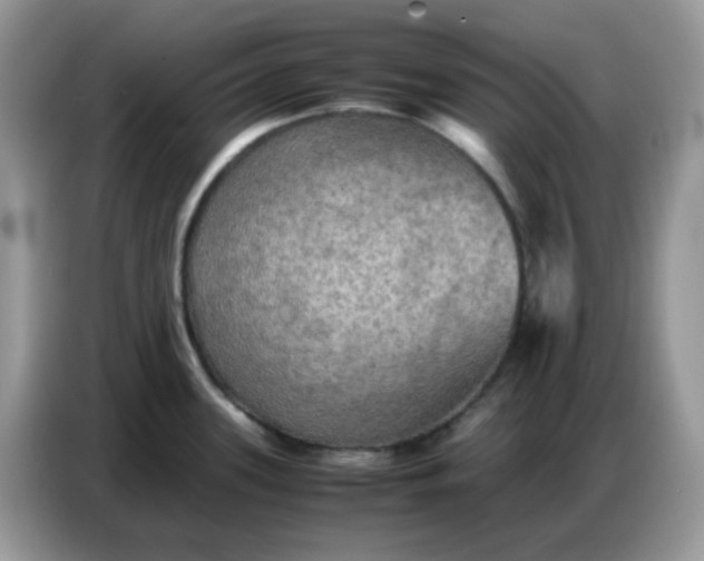 X0000086771339200704271742