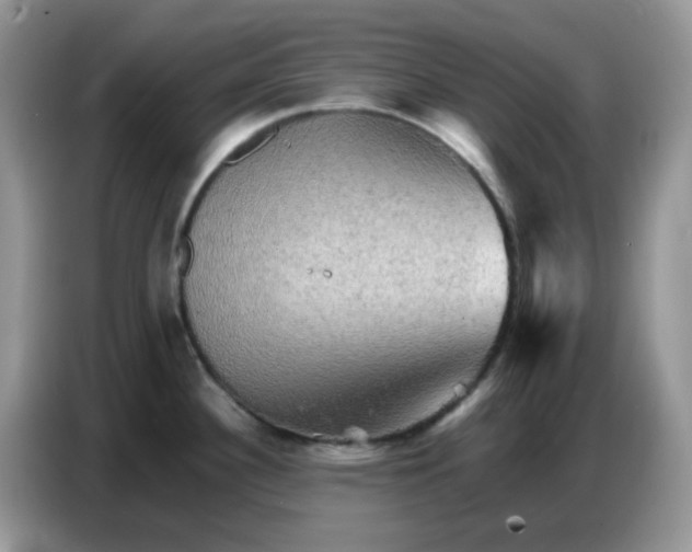 X0000086771340200704271742