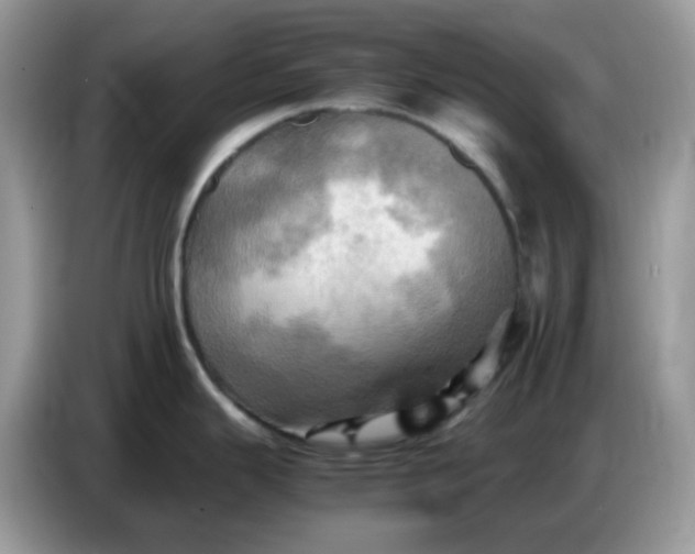 X0000086771343200704271742