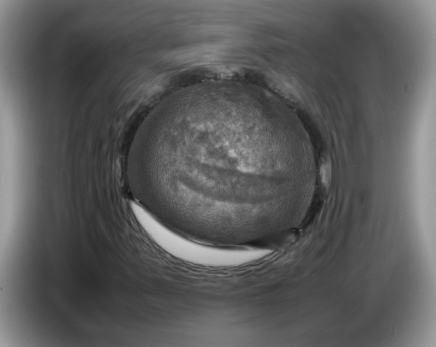 X0000086771347200704271742