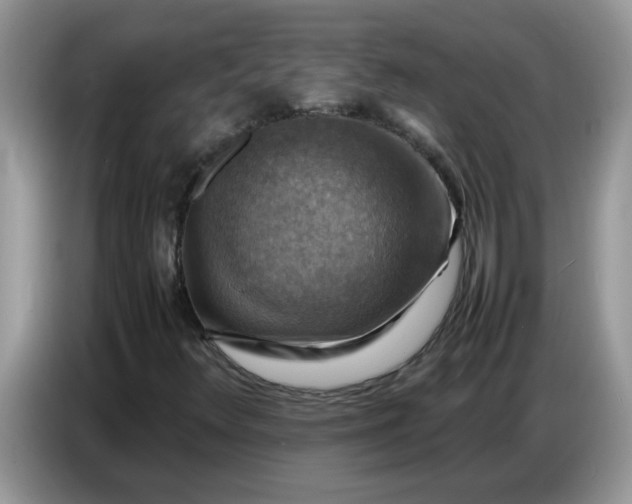 X0000086771348200704271742