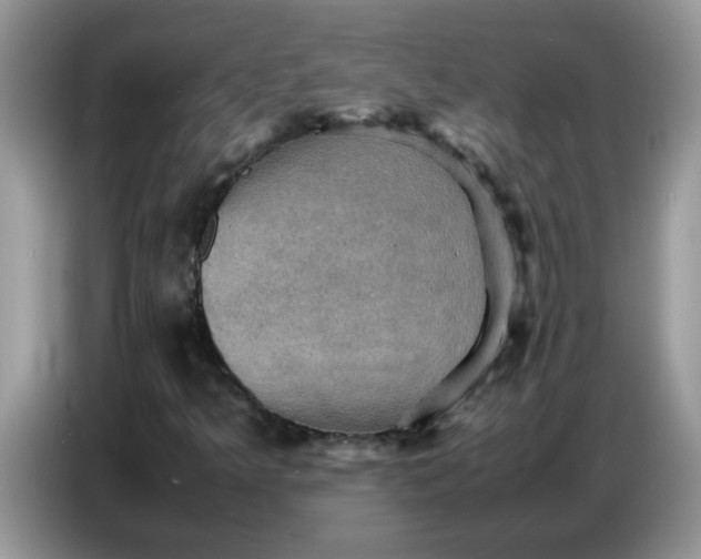 X0000086771349200704271742