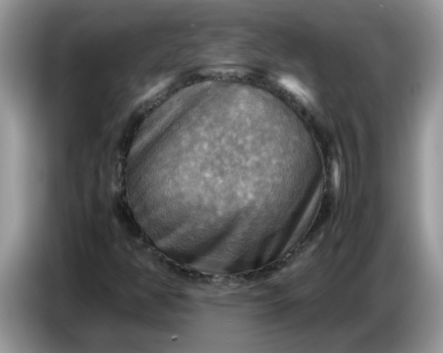 X0000086771350200704271742