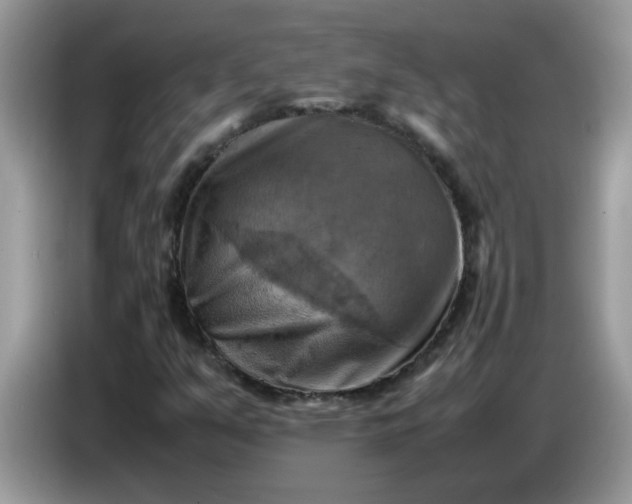 X0000086771351200704271742