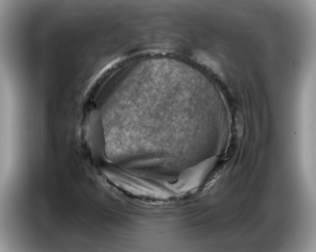 X0000086771352200704271742