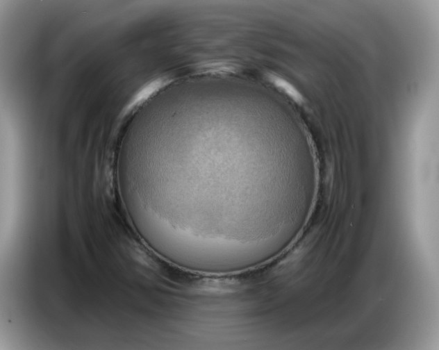 X0000086771354200704271742