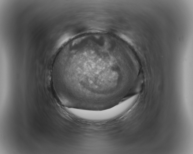 X0000086771355200704271742