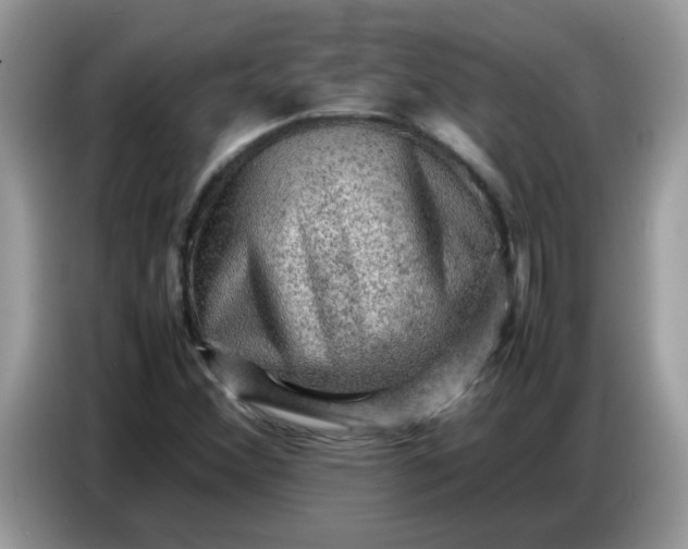 X0000086771356200704271742